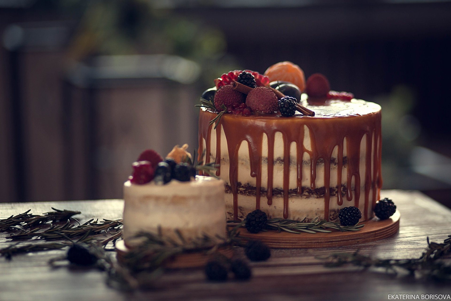 Cake Fort